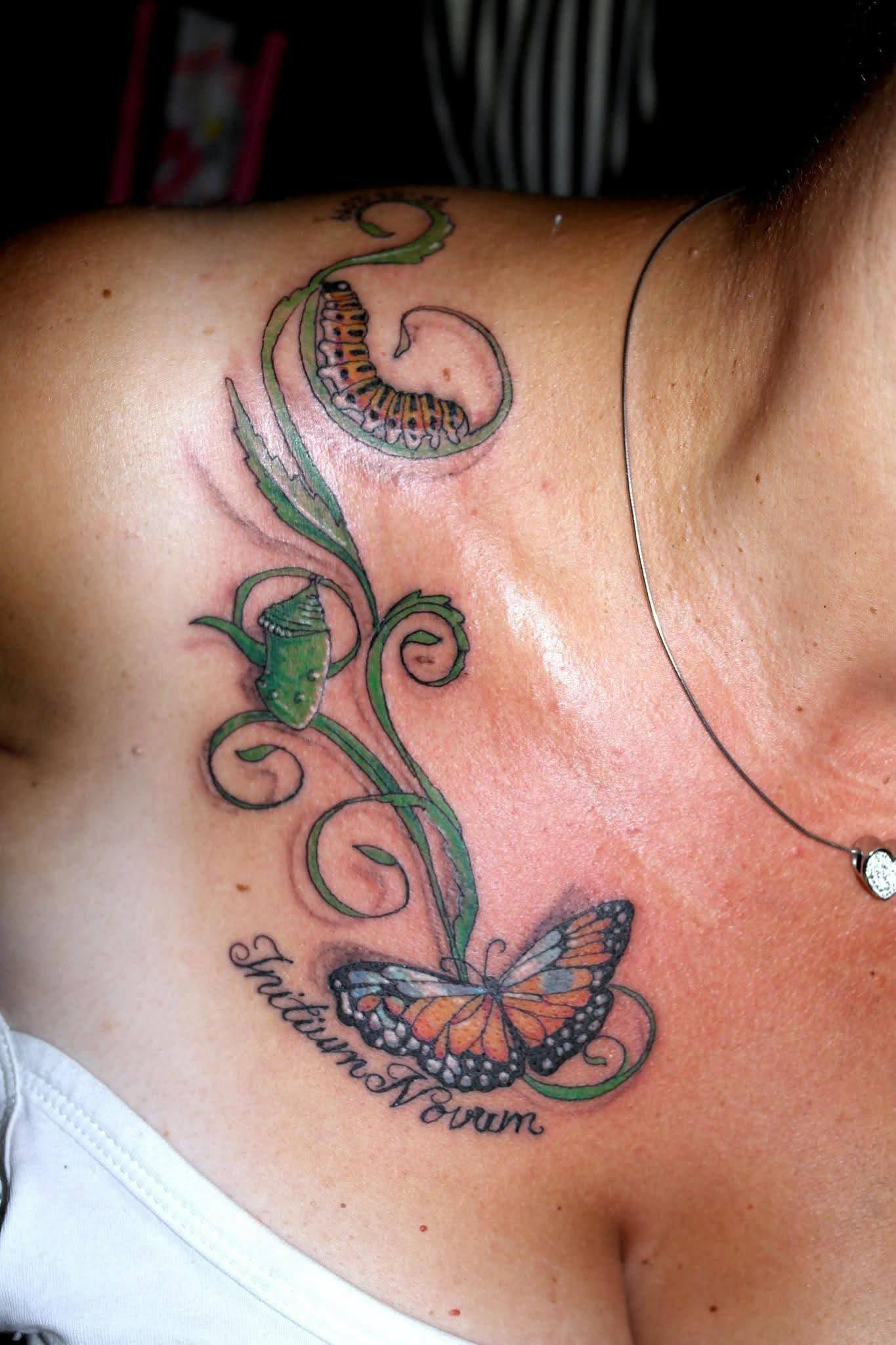 Sommerfugle og ornament — MAX TATTOO værk