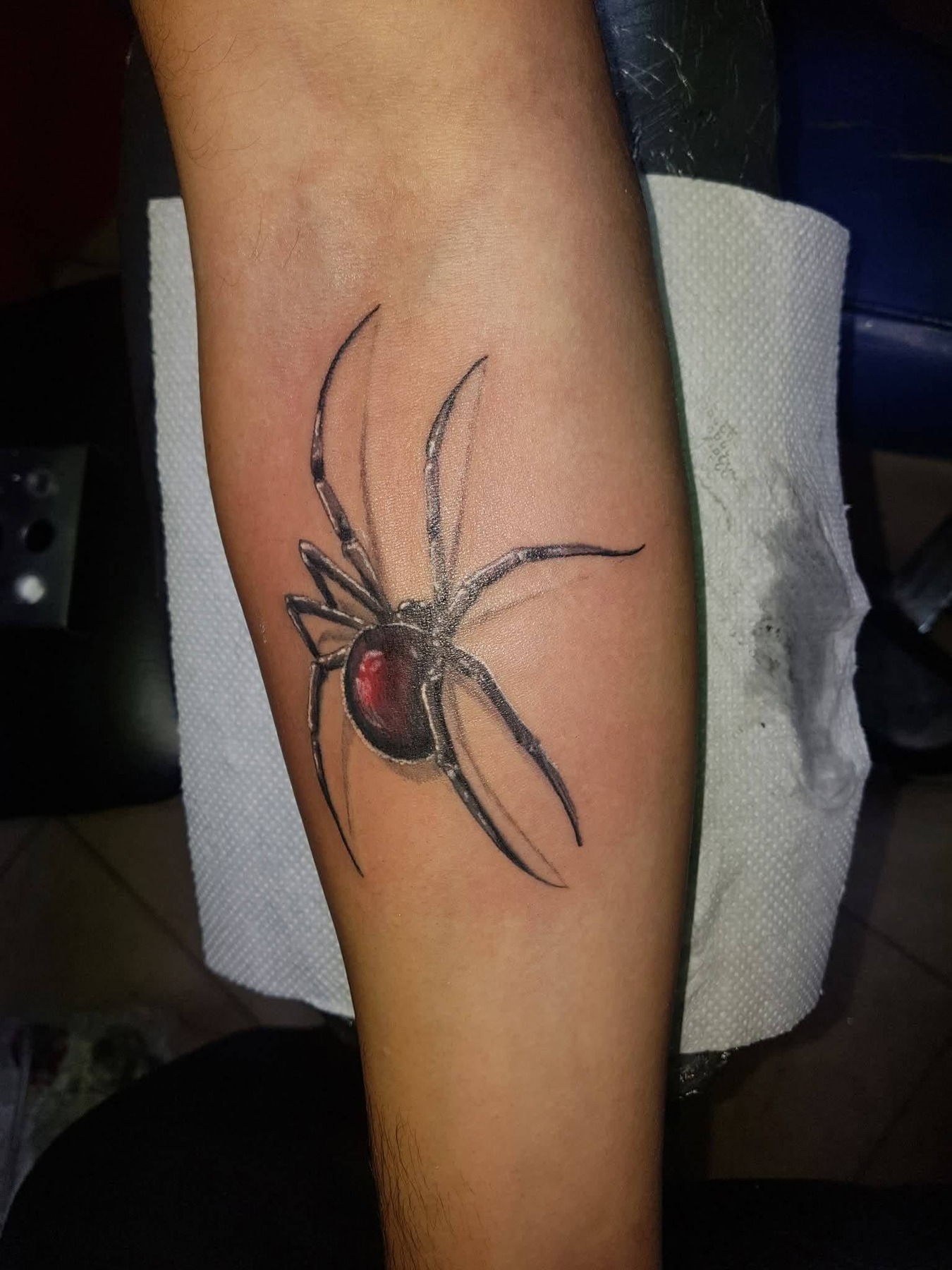 Edderkop — MAX TATTOO værk